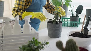 The florist shares his secrets of transplanting plants, teaching everyone the art of caring for green friends.