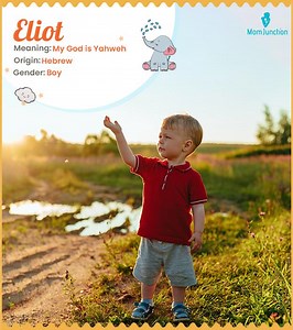 Eliot Name Meaning, Origin, History, And Popularity