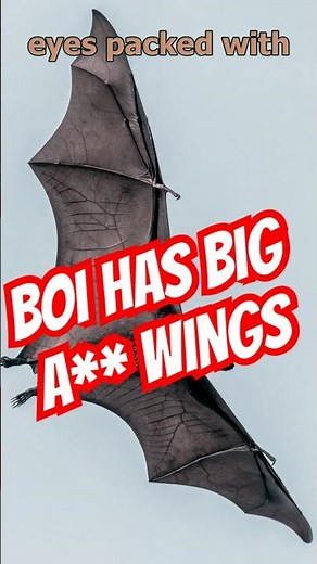 How Fruit Bats Are Saving Our Planet