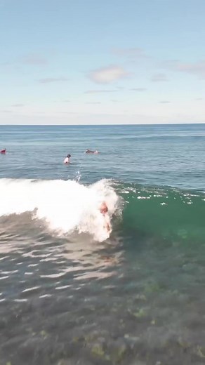 @Kalanilattanzi 😱😱#fy #fp #fypシ #fypage #fypシviral #fypdongggggggg #fyppppppppppppppppppppppp #fypp #fyy #fyr #vaiprofycaramba #viraliza #viralizou #rj #bodysurf #jacare