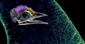 Art Illuminates the Beauty of Science and Could Inspire the Next Generation of Scientists Young and Old