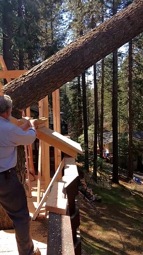 Hes a master at everything🪵🌲 #logging #logger #loggertok #loggingislife #loggerlife #bluecollar #bluecollarboys #bluecollarbabe #090 #kenworth #stihl #stihlchainsaw ##TransformersVoices