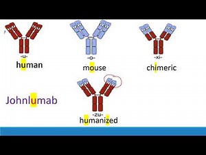 USMLE Step 1: How to memorize monoclonal antibodies