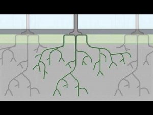 What is biofiltration - Urban Water | City of Melbourne