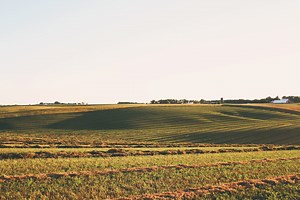 1.4K views · 68 reactions | We ♥️ our RFD-TV crew! Meet all of the special team members who make the RFD-TV episodes run on this week's behind the scenes episode airing TONIGHT at 8:30 pm CT.  | FarmHer | Facebook