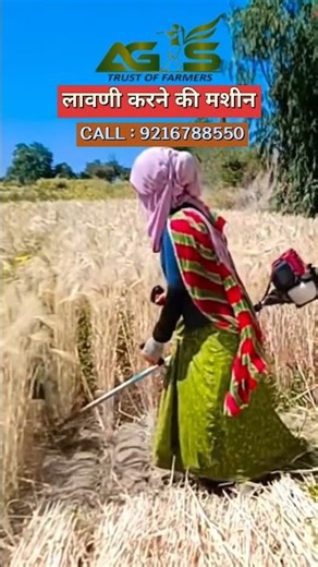 लावणी करने की मशीन 🇮🇳 Gehu katne ki hath wali machine #farmer #farming #farmequipment #villagelife