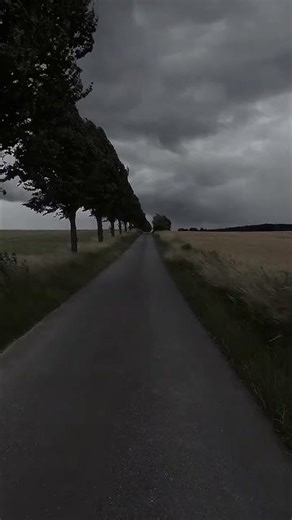 sukun😌😌 https://youtube.com/shorts/IJkB-oapuks?si=9G22-A85oPr_wJBd