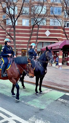 The NYPD Mounted Unit is a specialized division of the New York City Police Department often referred to as the city's