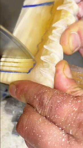 Handcrafting A Beautiful Comb From Raw Shell Material