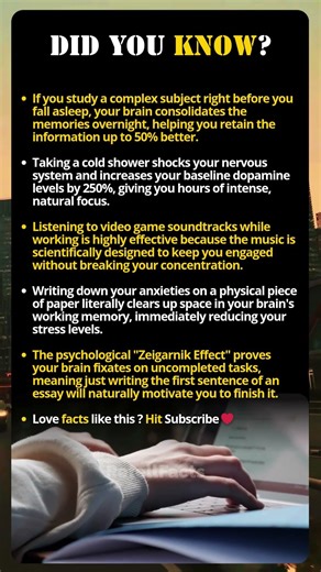 Cheat Codes For The Human Brain