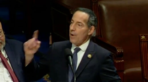 21K views · 1.3K reactions | Republican tries to school Rep. Raskin on the Constitution… fails MISERABLY To stop Trump's scheme to get absolute immunity, sign here  https://actl.ink/3JWveUY ORDER SHAMELESS: https://www.harpercollins.com/pages/shameless | Brian Tyler Cohen | Facebook