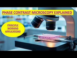 "Phase Contrast Microscopy Explained | Principle, Working & Applications"