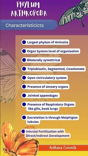 Phylum Arthropoda | Key Characteristics 🕷️🦀🦋