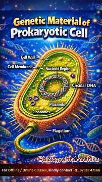 The Genetic Material of Prokaryotic Cell is simple yet powerful. #prokaryoticcells #geneticmaterial