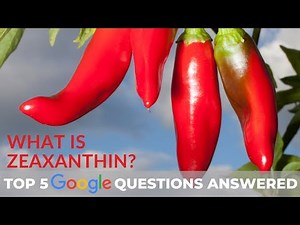 What is Zeaxanthin? Top 5 Google Questions Answered
