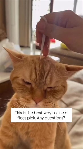 Dr. Miles Madison BeverlyHills | Floss pick are ok to use if you know how to use them properly. | Instagram