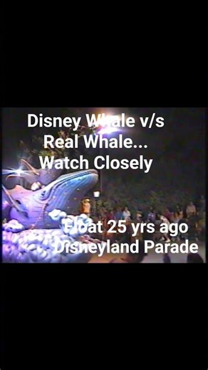 25 Years Ago : Disney Whale Float vs Real Whale of Sea World, USA | #shorts #fyp #whale #vintage