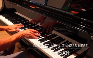 钢琴伴奏《Dein ist mein ganzes Herz》男高音咏叹调《你是我心中的挚爱》选自雷哈尔的轻歌剧《微笑王国》