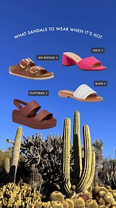 DSW Designer Shoe Warehouse on Reels