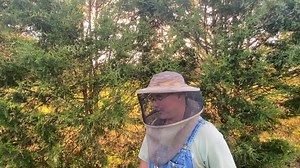 1.4K views · 14 reactions | Jim Quick teaches us all about honey bees and beekeping #Honeybees #Beekeeping #Beekeeper #apiary #apicoltura #pollinators | The Rock Ranch | Facebook