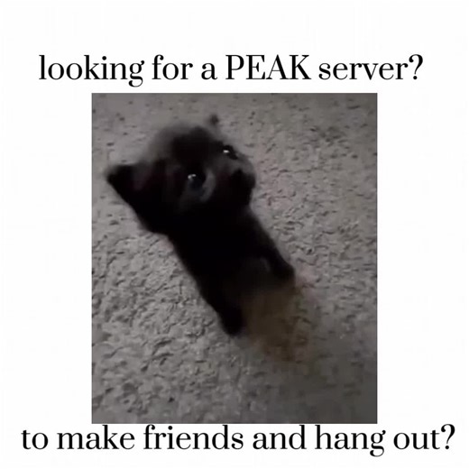 Join our discord server! https://discord.gg/ssanity #discordserver #makefriends #joinus #onlinefriends #viral