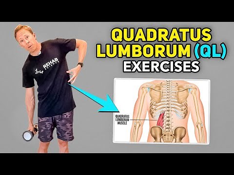 4 Quadratus Lumborum Pain Exercises