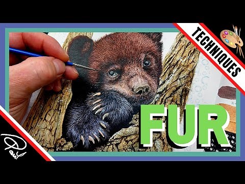 5 Tips and Techniques for Painting Fur in Watercolor (Black Bear Cub)