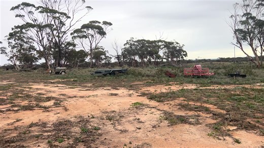 Ralsei Driving: A Fun Plush Adventure