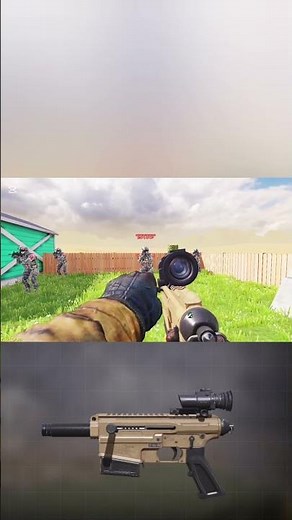 COD:Cursed Guns-VLK Rogue