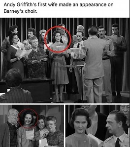 The Andy Griffith Show | Memories of Classic TV Shows