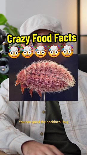 Crazy Food Facts You Didn't Know