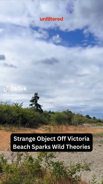 A mysterious object spotted off Victoria Beach has locals and Reddit users buzzing with theories. From aliens to toilet paper from space, speculation is running wild. What do you think it is? 🤔 #VictoriaBC #MysteryObject #BritishColumbia #VancouverIsland #LocalNews