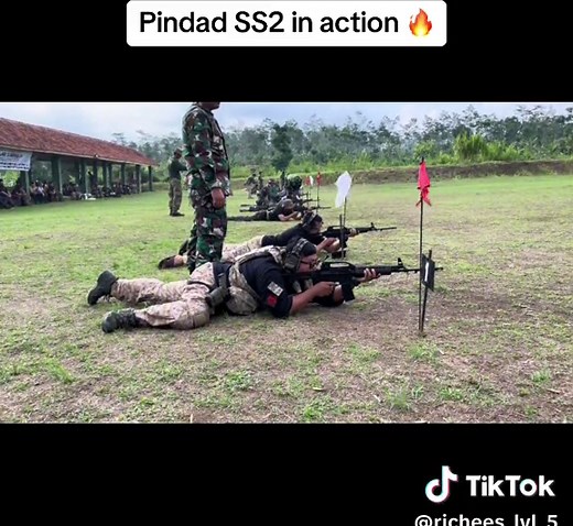 Pindad SS2: Indonesian Infantry Assault Rifle in Action
