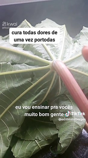 Como curar esporão com folha de mamona