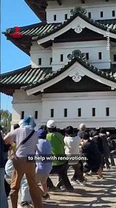 Hundreds of people pull historic castle in Japan