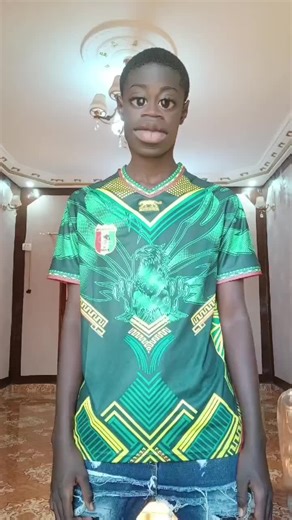 Match Afrique: Mali vs Tunisie et Burkina Faso vs Côte d'Ivoire