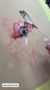 Working on the pastel underpainting for a galah’s crest today. This stage really helps me map out the feathers and lay down the colour foundation before all the detail starts to happen. Using my Artristic easel makes the whole job so much quicker — being able to tilt and rotate it means I can get into those curved feathers easily without smudging everything I’ve already done. If you struggle with smudging your pastel work, I can’t recommend the Artristic Easel enough. It honestly changes the way