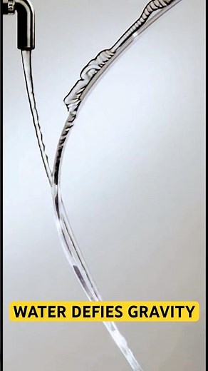 Water can defy gravity 😳 | Did You Know?