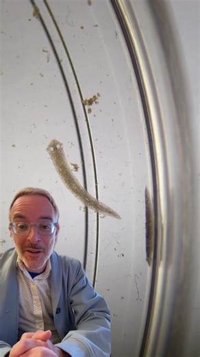 Exploring Planaria in Pond Water: A Biology Discovery