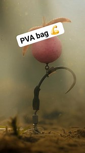PVa for the win! #pescuit #fishing #fishinglife #catchandrelease #carpfishing | Daniel Santa Fishing