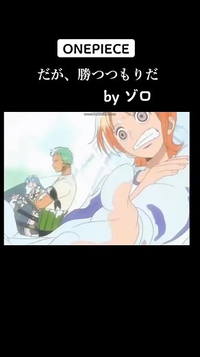ゾロとナミの感動シーンまとめ