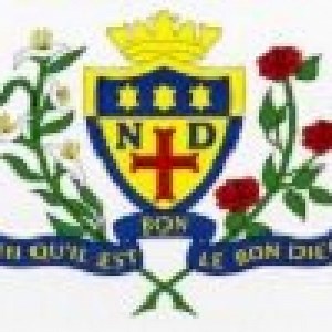 P7-S1 Transition – Notre Dame High School