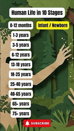 Human Life in 10 Stages!