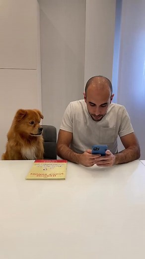 56 reactions · 3 comments | Can you read me a story #pumbastyle #pet #fyp #dog #pets #tiktokdog | Carlos | Facebook