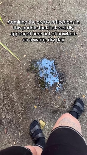 Mysterious Puddle Forms on Dry Day