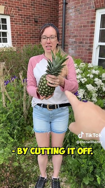 Creative Pineapple Cutting Hacks You Must Try