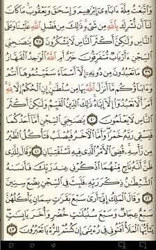 ماهر المعيقلي سورة يوسف مكتوبة صفحة 240 مصحف المدينة المنورة جودة عالية