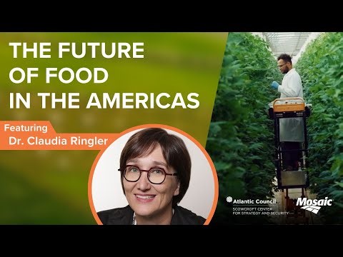 The Future of Food in the Americas: Tackling Global Food Security