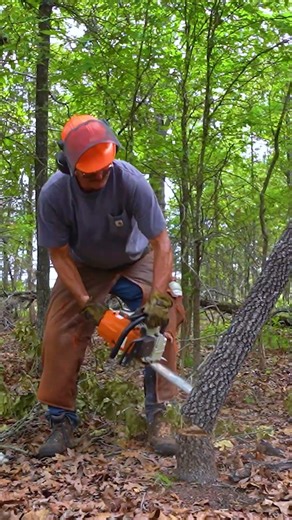 Chainsaw Power: Check out our chainsaw maintenance 101 episode