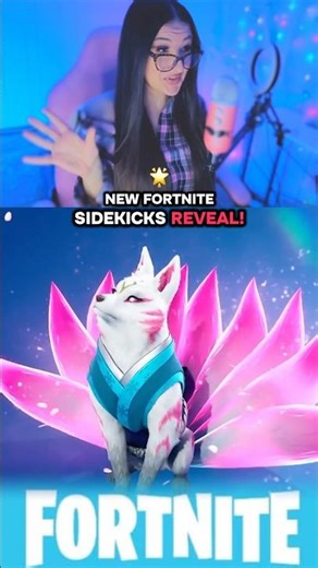 NEW SIDEKICKS: Kitsune, SpongeBob & Patrick, Llama, Meowscles